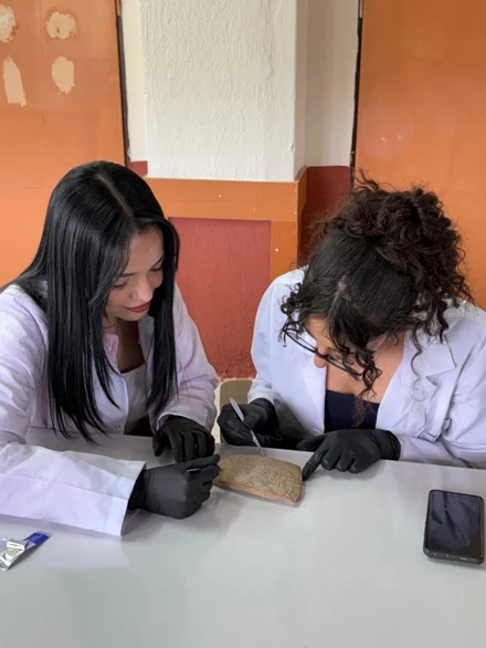 Mimari Restorasyon Programının Konservasyon ve Restorasyon Uygulamaları